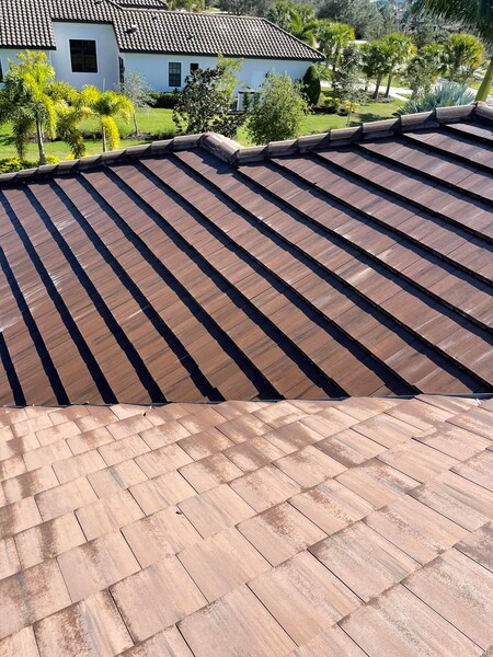 Roof Cleaning Services in Palmetto, FL (1)