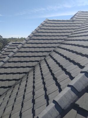 Before & After Roof Cleaning in Sarasota, Fl (1)