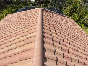 Before & After Roof Washing in Sarasota, FL (9)