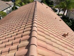 Before & After Roof Washing in Sarasota, FL (7)