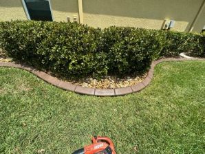 Pressure Washing & Paver Sealing in Parrish, FL (1)