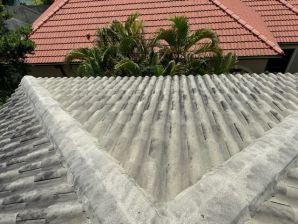 Before & After Roof Cleaning in Sarasota, FL (3)