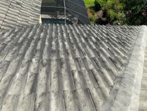 Before & After Roof Cleaning in Sarasota, FL (2)