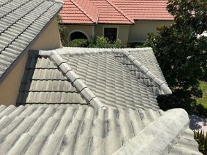 Before & After Roof Cleaning in Sarasota, FL (1)