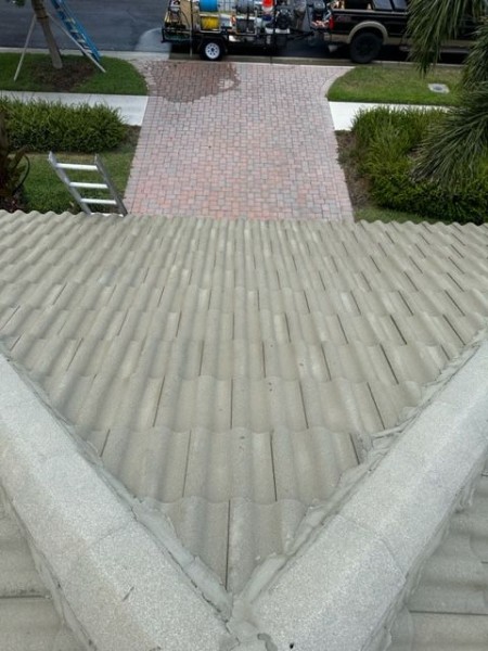 Before & After Roof Cleaning in Sarasota, FL (9)