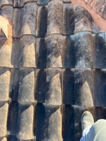 Roof Cleaning in Lakewood Ranch, FL (5)