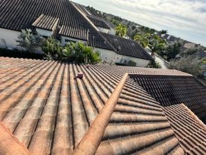 Roof Cleaning in Lakewood Ranch, FL (3)