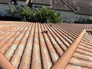 Roof Cleaning in Lakewood Ranch, FL (8)