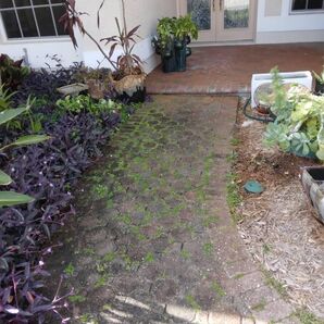 Before & After Paver Cleaning in Sarasota, FL (1)