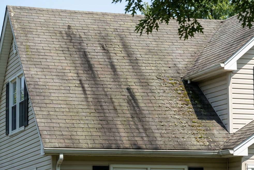 Weathered shingle roof with dark stains and moss growth on a house exterior